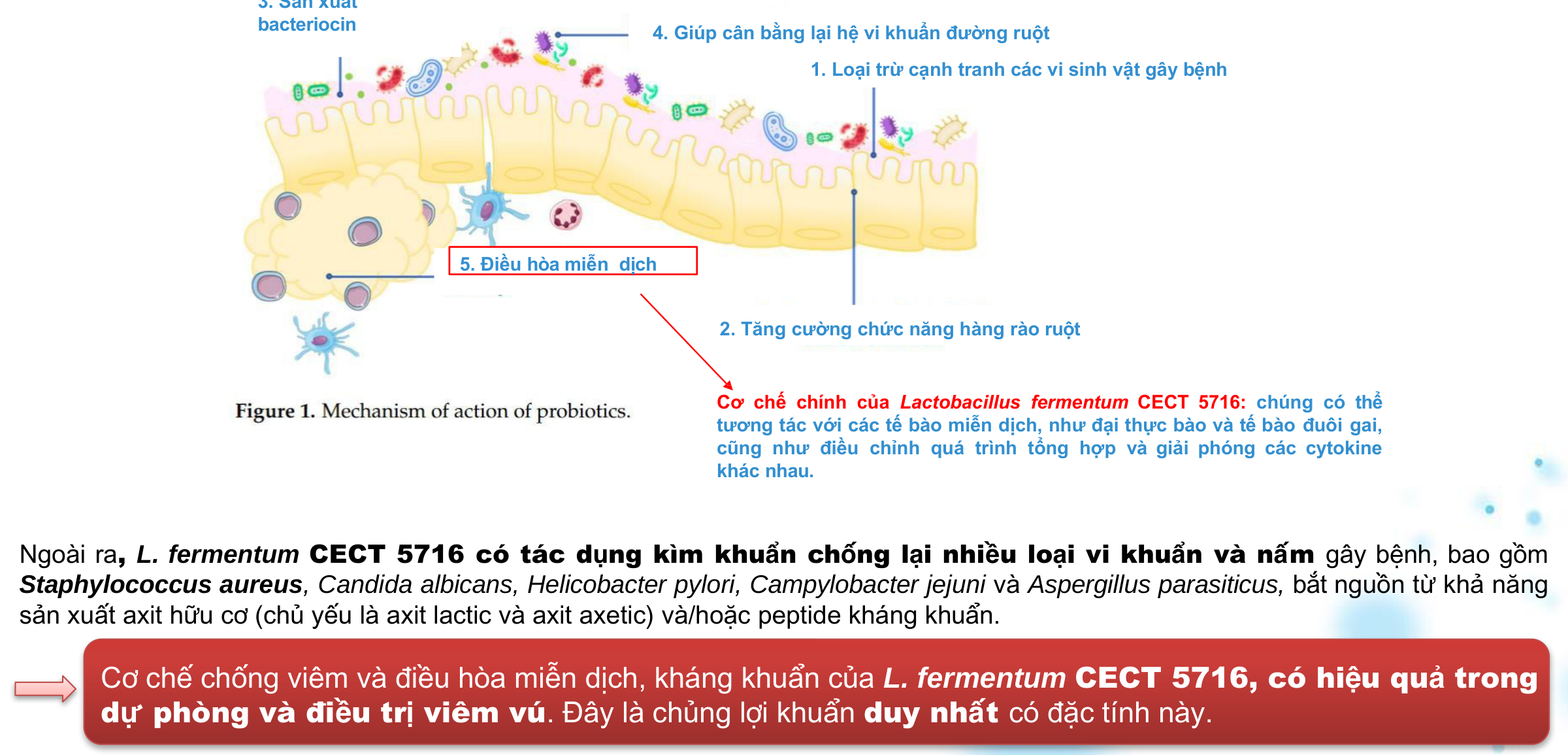 Entero-Mammary Mechanism